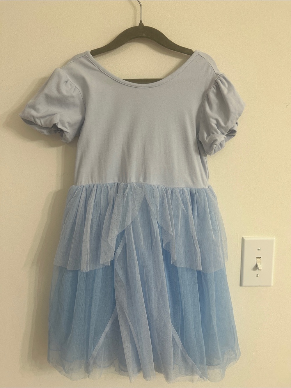 Light Blue Puff Sleeve Tulle Dress Hanna Anderson Cinderella Special Edition